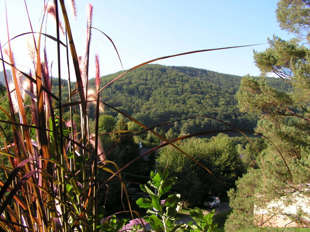 Buhl De Bonheur Villa Guebwiller Dış mekan fotoğraf